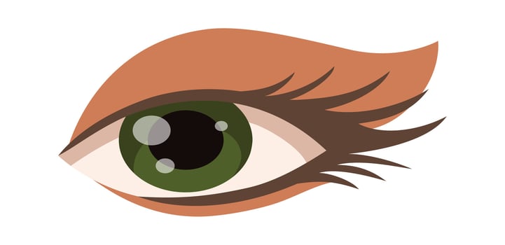 Stylized Eye with Dramatic Lashes vector