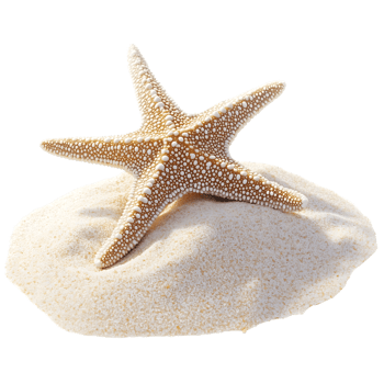 Starfish on white sand isolated on black background png