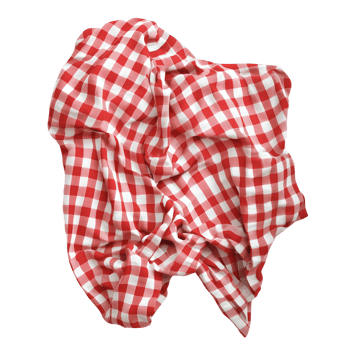 Red and white checkered picnic cloth fabric isolated on black background png