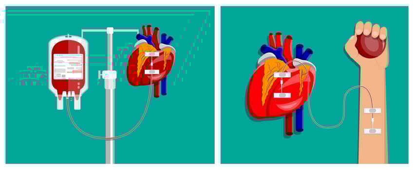 Blood transfusion process illustration vector