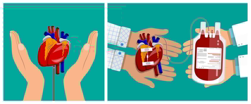 illustration of heart and blood donation vector