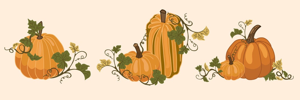 Colorful pumpkins with green vines vector