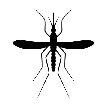 mosquito silhouette icon design vector