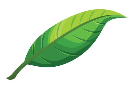 Vibrant Green Leaf Isolated on White Background Serene Nature Illustration for Design Projects - Professional digital artwork with vibrant colors and detailed composition vector