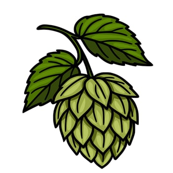 A detailed illustration of a hop cone with two leaves, showcasing its intricate structure and vibrant green hues, ideal for brewery labels or botanical designs. vector
