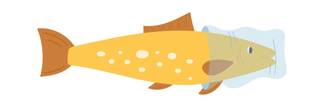 Fish with Pillow vector