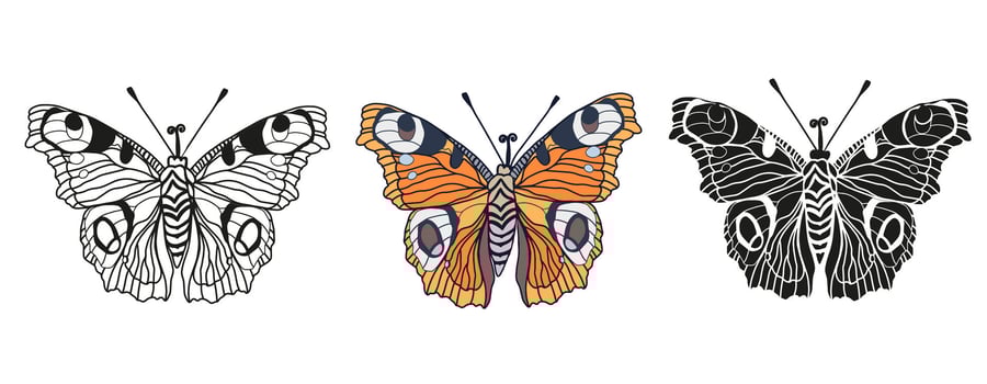 Monarch butterflies set hand drawn bug insect illustration isolated on white background vector