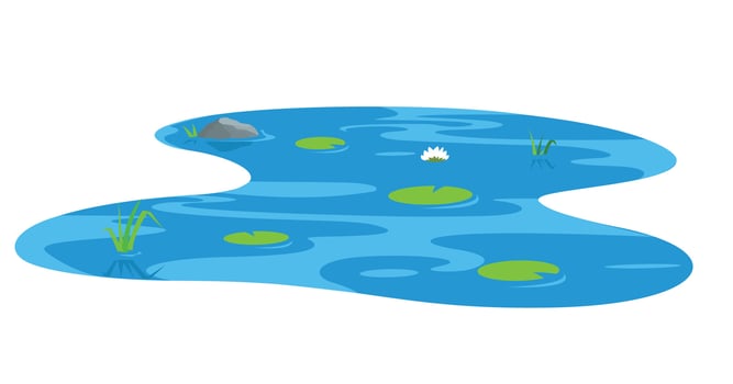 Decorative pond with white water lily, stone rock and bulrush plants vector