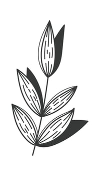 Botanical Leaf with Textured Pattern vector