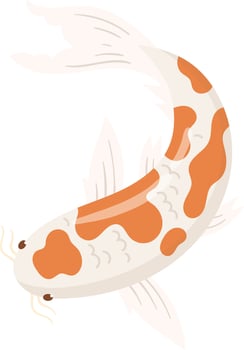Elegant Koi Fish Illustration vector