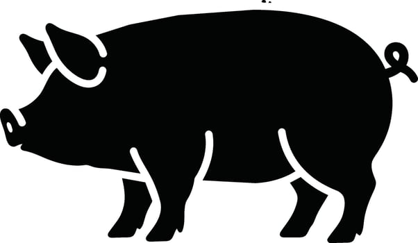Black Silhouette of a Domestic Pig. vector